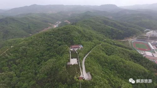 未来五年迅速崛起的麟游让你惊叹