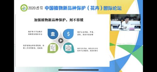 盈科动态丨盈科律师受邀参加中国植物新品种保护 花卉 国际论坛并进行专题发言