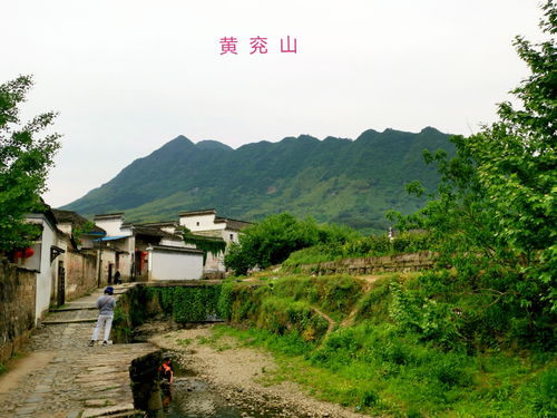 绩溪网 绩溪论坛 关注绩溪百姓生活 传播渊远徽州文化