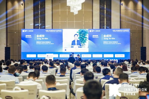 dic forum 2020中国 上海 国际显示产业高峰论坛在上海隆重举行
